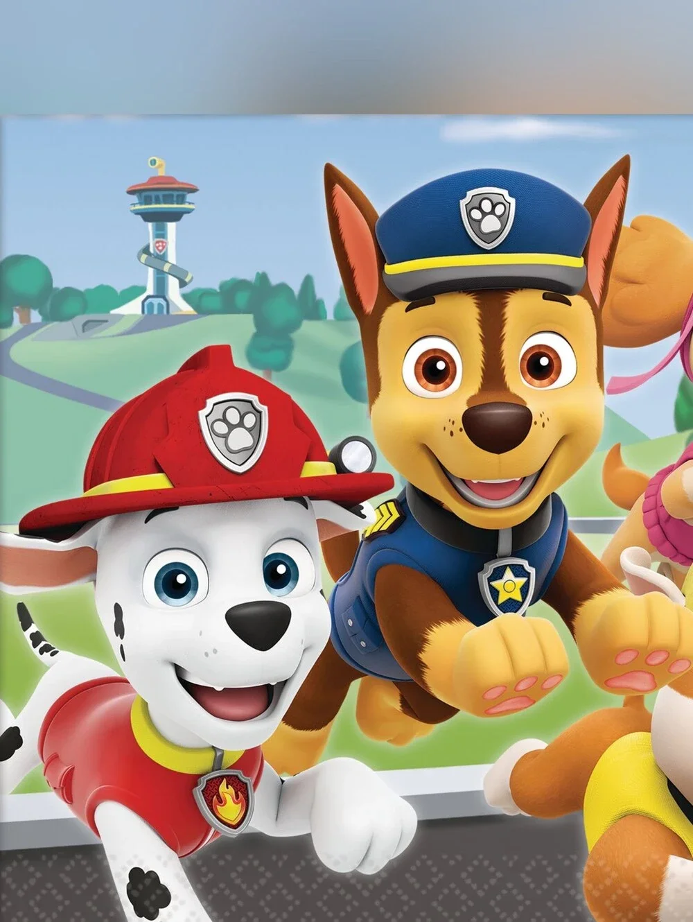 Paw Patrol Party Box!